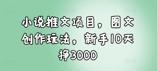 小说推文项目，图文创作玩法，新手10天挣3000-一新网创