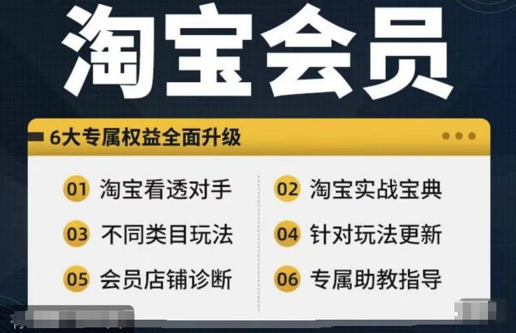 淘宝会员【淘宝所有课程，全面分析对手】，初级到高手全系实战宝典-一新网创