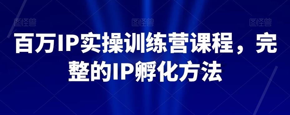 百万IP实操训练营课程，完整的IP孵化方法-一新网创