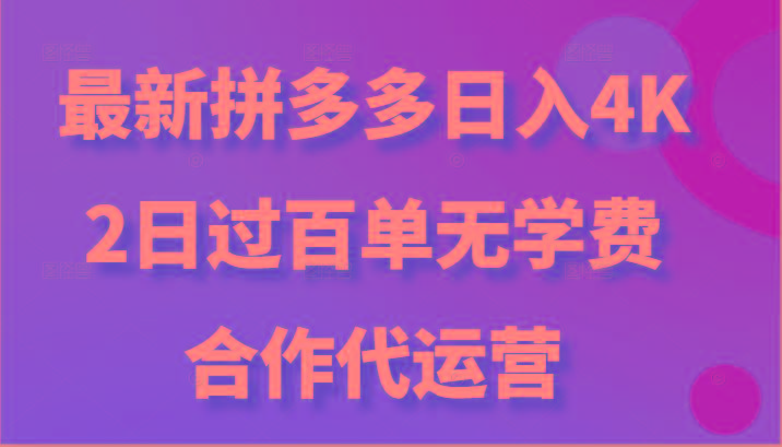 最新拼多多，日入4K+，2日过百单无学费，合作代运营-一新网创