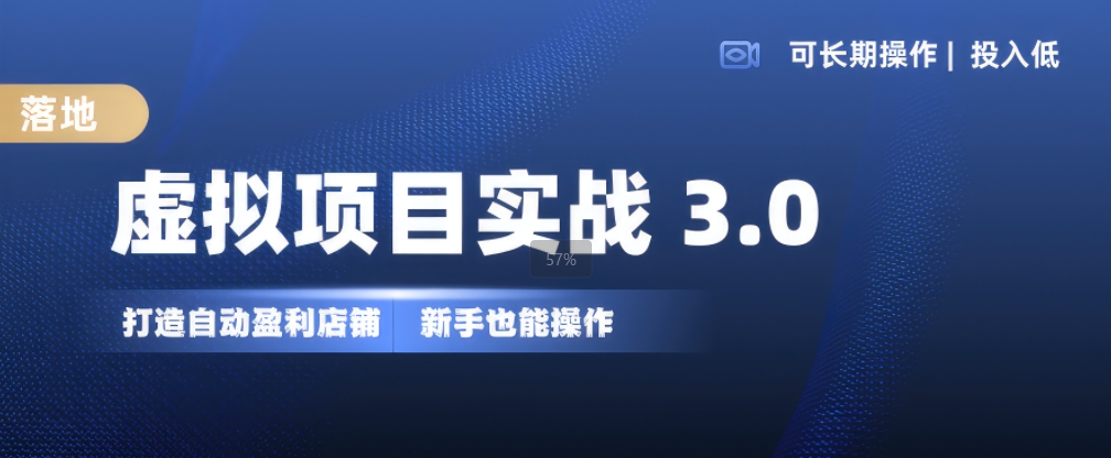 虚拟项目实战3.0，打造自动盈利店铺，可长期操作投入低，新手也能操作-一新网创