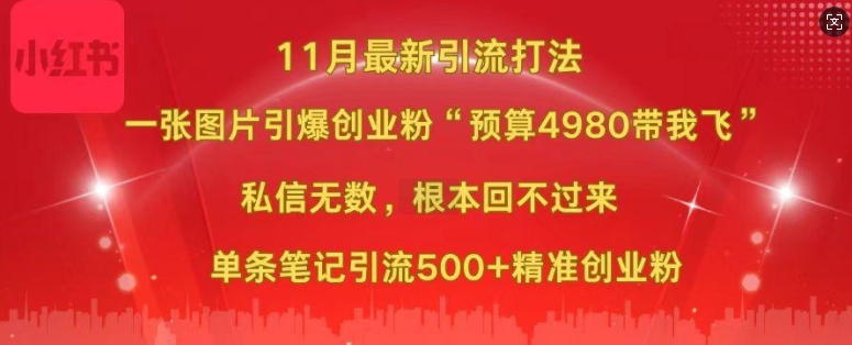 小红书11月最新图片打粉，一张图片引爆创业粉，“预算4980带我飞”，单条引流500+精准创业粉-一新网创