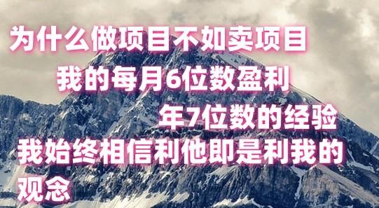 做项目不如卖项目，每月6位数盈利，年7位数经验-一新网创