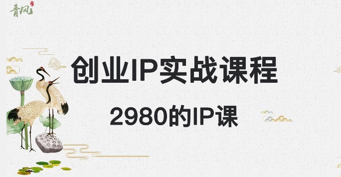 外边卖2980的创业IP课程，做私域月入5w+-一新网创