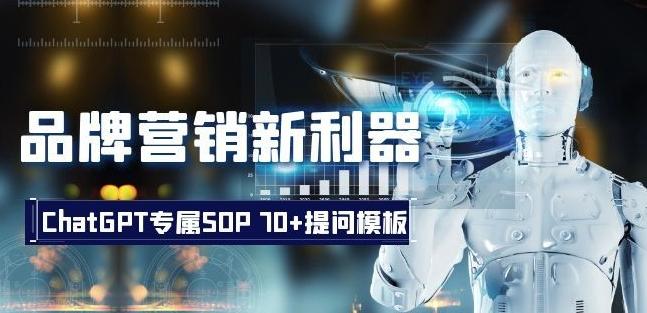 品牌营销新利器：ChatGPT专属SOP，70+提问模板【文档】-一新网创