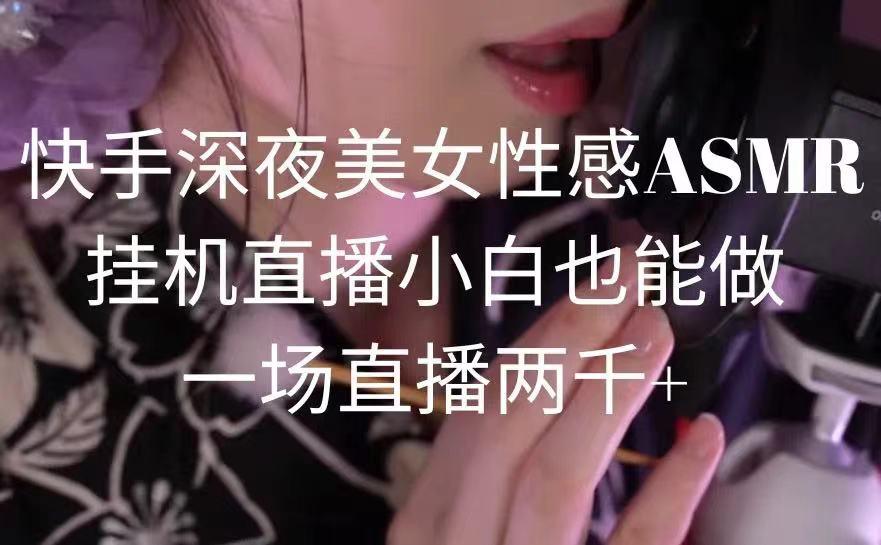 快手深夜美女性感ASMR挂机直播，小白也能做，一场直播两千+-一新网创
