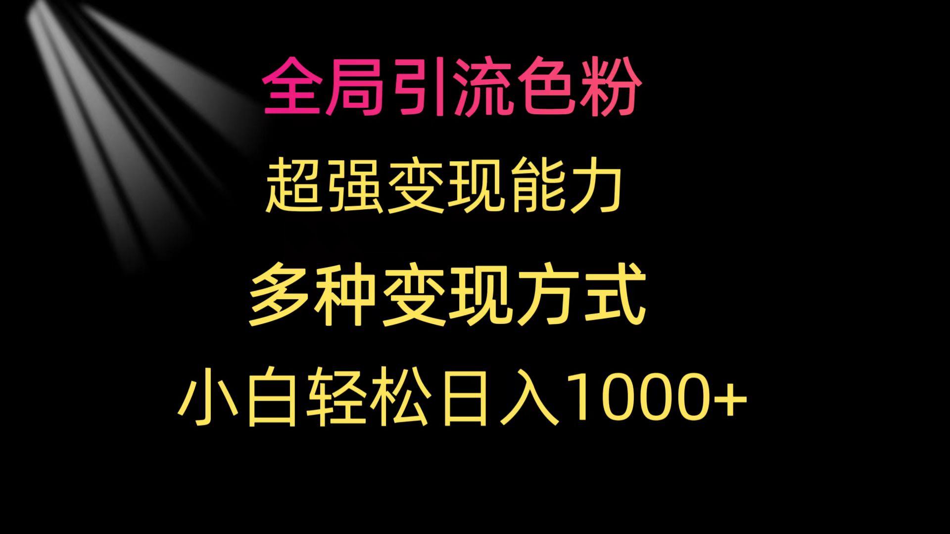 (9680期)全局引流色粉 超强变现能力 多种变现方式 小白轻松日入1000+-一新网创