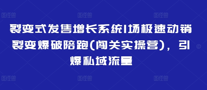 裂变式发售增长系统1场极速动销裂变爆破陪跑(闯关实操营)，引爆私域流量-一新网创