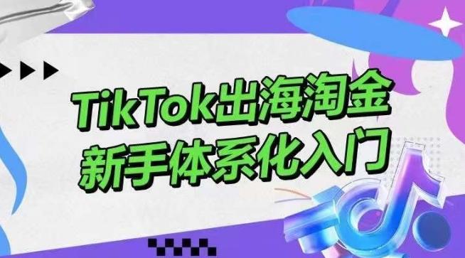 TikTok出海淘金，新手体系化入门，零基础快速入门，掌握短视频、直播带货等引流到变现的知识-一新网创