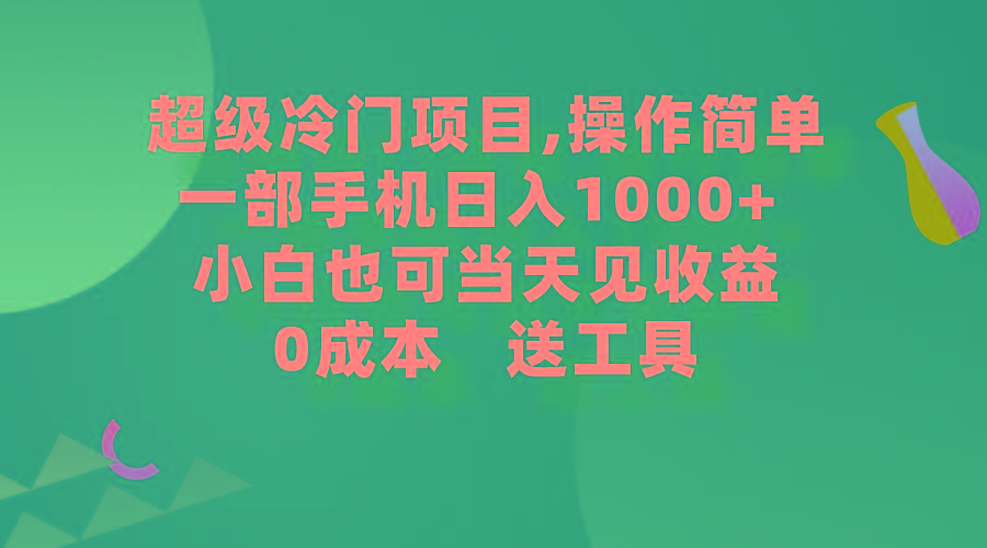 (9291期)超级冷门项目,操作简单，一部手机轻松日入1000+，小白也可当天看见收益-一新网创