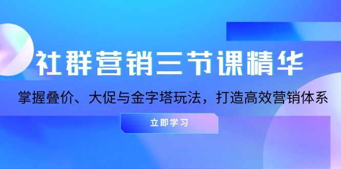 社群营销三节课精华：掌握叠价、大促与金字塔玩法，打造高效营销体系-一新网创