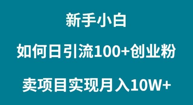 (9556期)新手小白如何通过卖项目实现月入10W+-一新网创