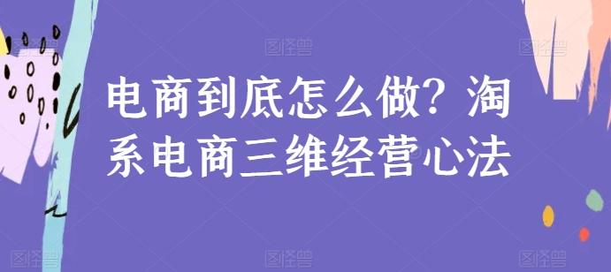 电商到底怎么做？淘系电商三维经营心法-一新网创
