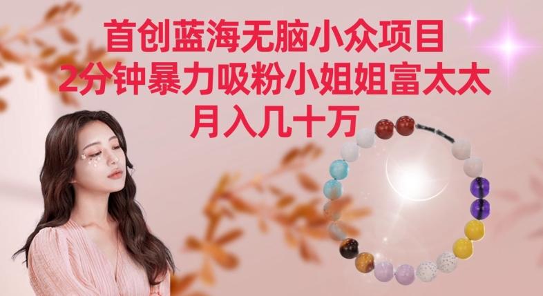 首创蓝海无脑小众项目，2分钟暴力吸粉小姐姐富太太，月入几十万【揭秘】-一新网创