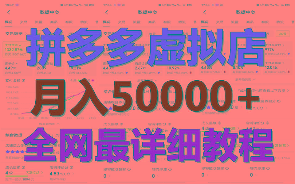 拼多多虚拟电商训练营月入50000+你也行，暴利稳定长久，副业首选-一新网创