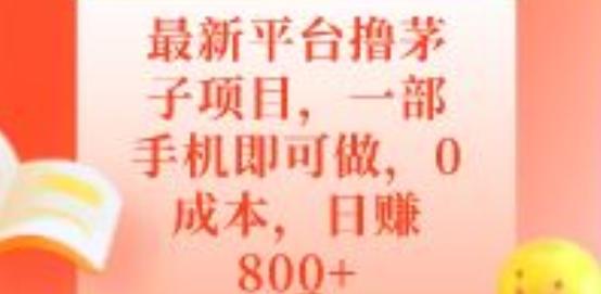 最新平台撸茅子项目，一部手机即可做，0成本，日赚800+-一新网创