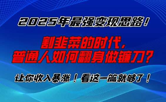 2025年最强变现思路，割韭菜的时代， 普通人如何翻身做镰刀？【揭秘】-一新网创