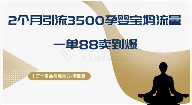 十万个富翁修炼宝典之13.2个月引流3500孕婴宝妈流量，一单88卖到爆-一新网创