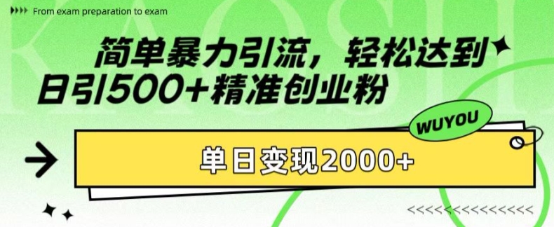 简单暴力引流，轻松达到日引500+精准创业粉，单日变现2k【揭秘】-一新网创