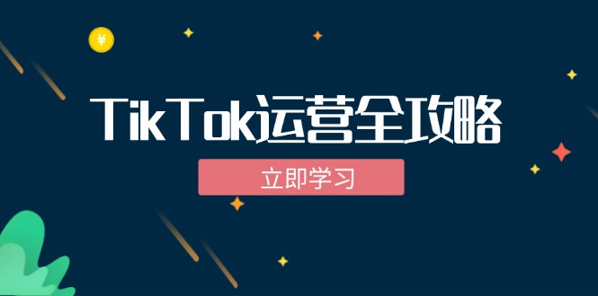TikTok实战运营全攻略：从下载软件到变现，抖音海外版实操教程-一新网创