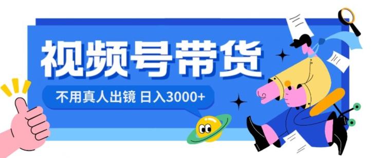 视频号带货，日入3000+，不用真人出镜-一新网创