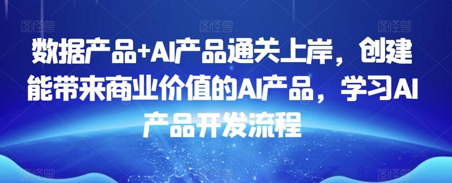 数据产品+AI产品通关上岸，创建能带来商业价值的AI产品，学习AI产品开发流程-一新网创