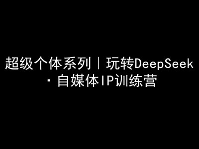 超级个体系列，玩转DeepSeek·自媒体IP训练营，deepseek教程-一新网创