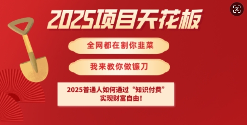 2025项目天花板普通人如何通过知识付费，实现财F自由【揭秘】-一新网创