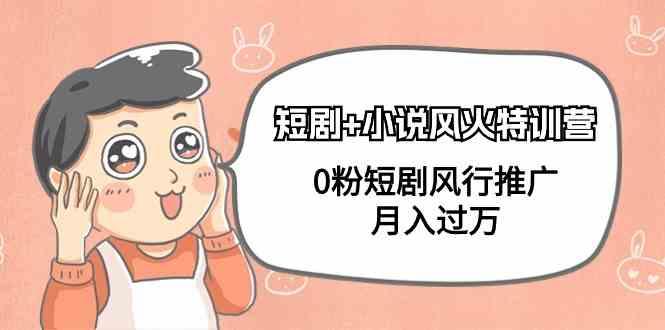 小说+短剧风火特训营，0粉短剧小说风行推广，实现月入过万-一新网创