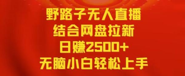 野路子无人直播结合网盘拉新，日赚2500+，小白无脑轻松上手【揭秘】-一新网创